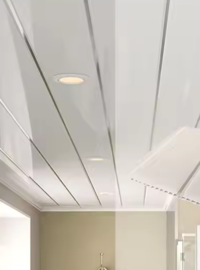 Silver Series (Ceiling Panel)